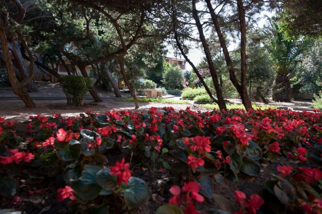 Aldeamento Turístico Club Baiaverde 3*